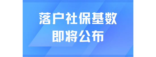 還有10天！2025上海社保基數即將公布！落戶先暫停！